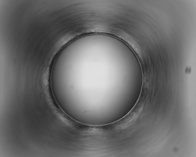 X0000102850437200808251206
