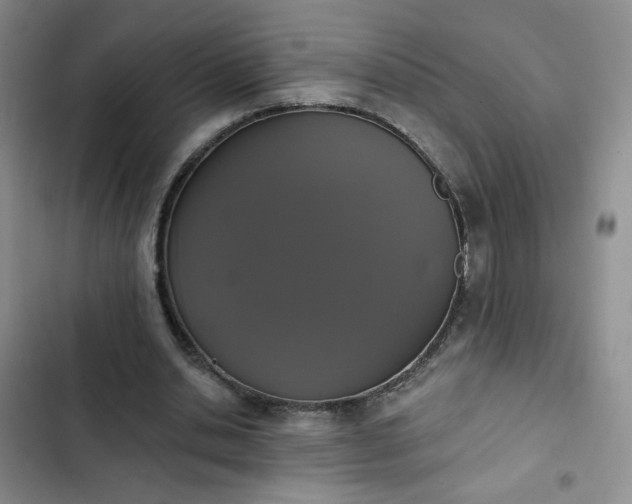 X0000102850438200808251206