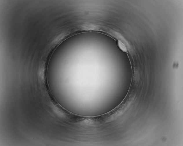 X0000102850441200808251206