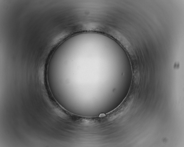 X0000102850442200808251206