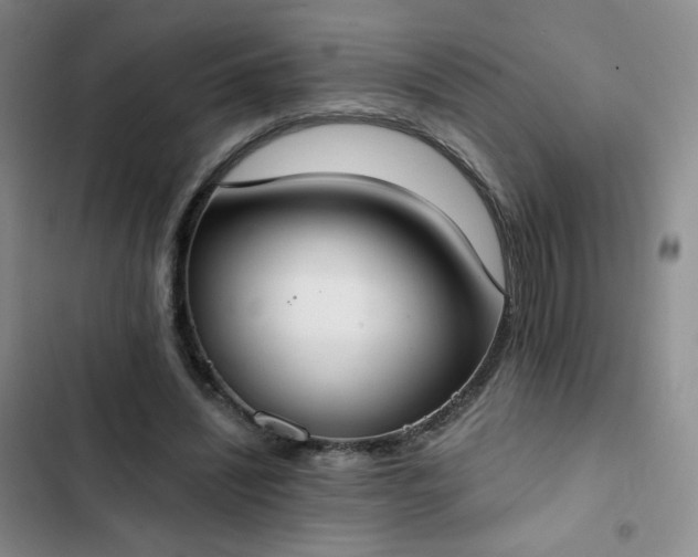 X0000102850444200808251206