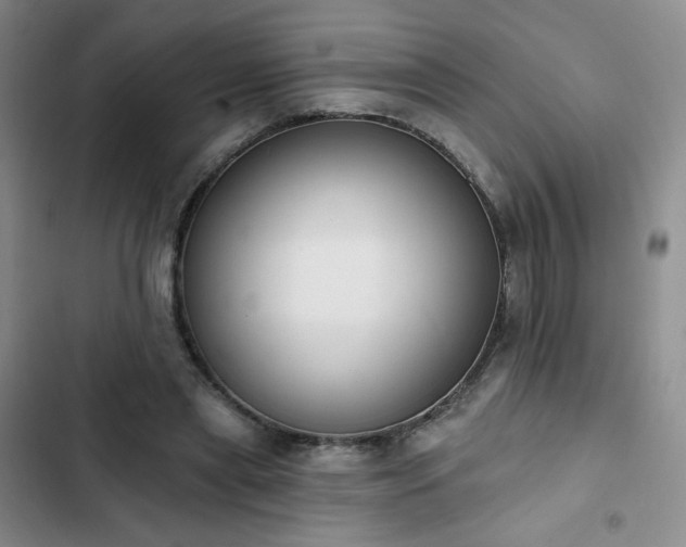 X0000102850445200808251206