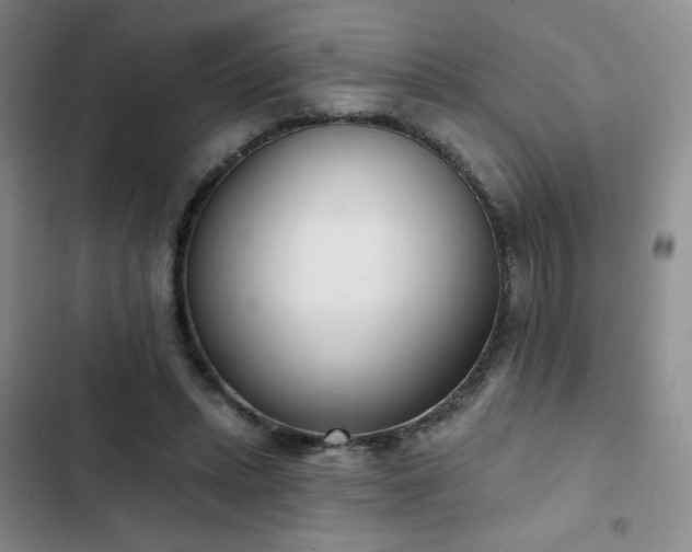 X0000102850447200808251206
