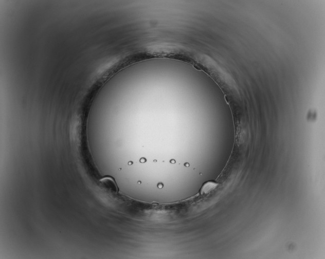 X0000102850448200808251206