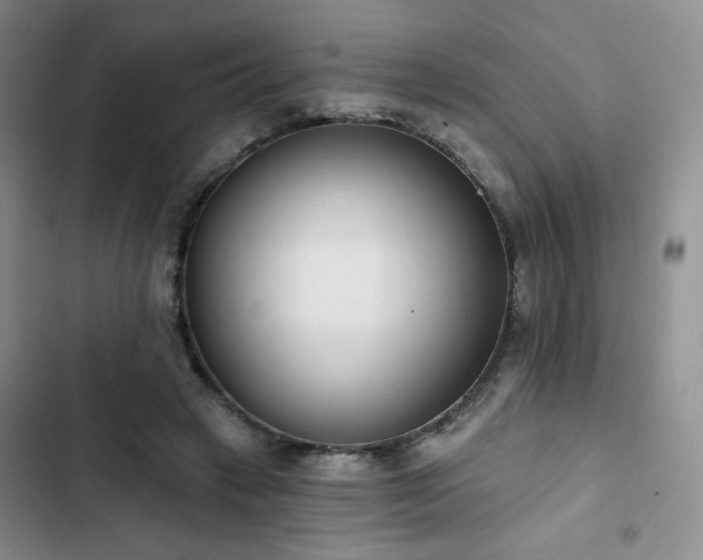 X0000102850449200808251206