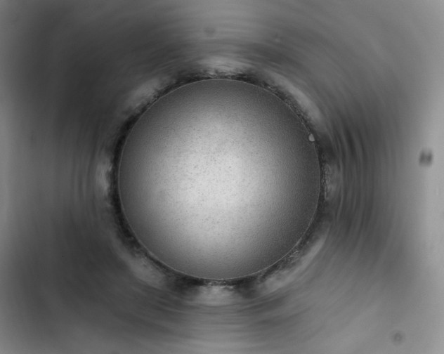 X0000102850451200808251206