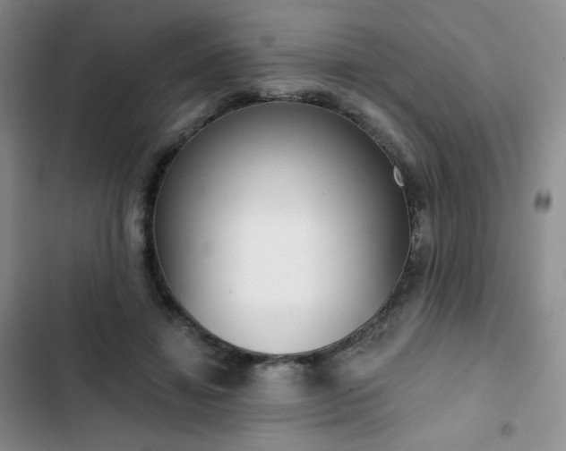 X0000102850452200808251206