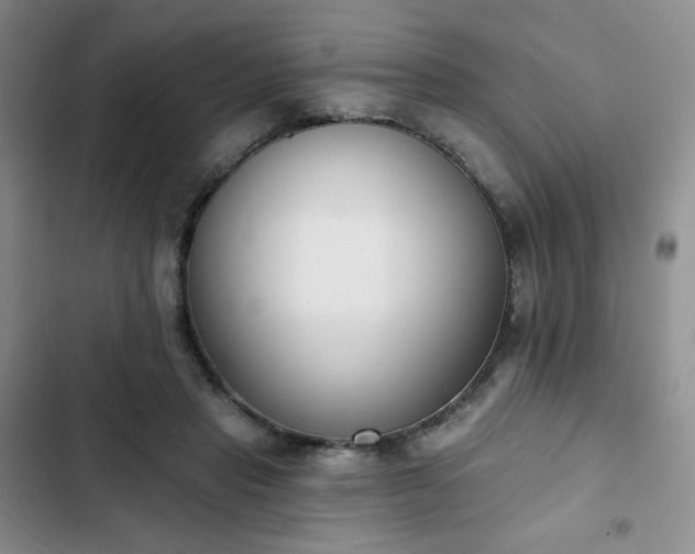 X0000102850453200808251206