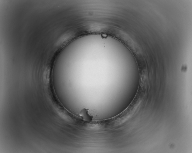 X0000102850454200808251206