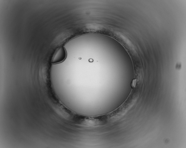 X0000102850455200808251206