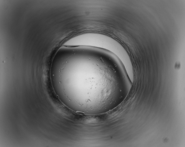 X0000102850456200808251206
