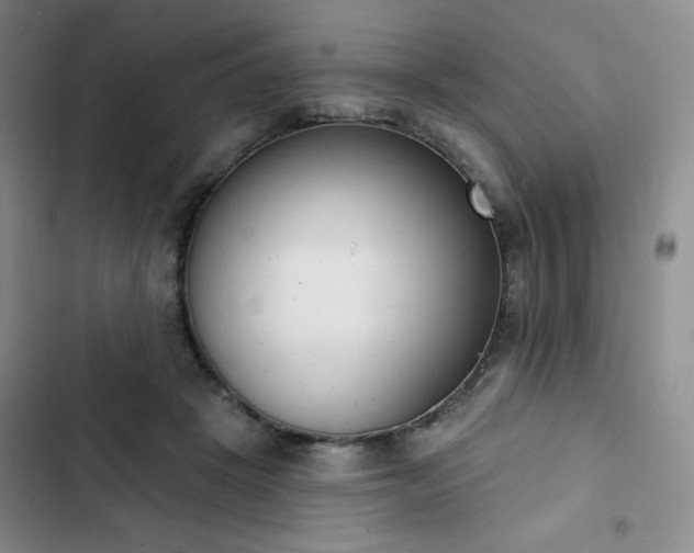 X0000102850457200808251206