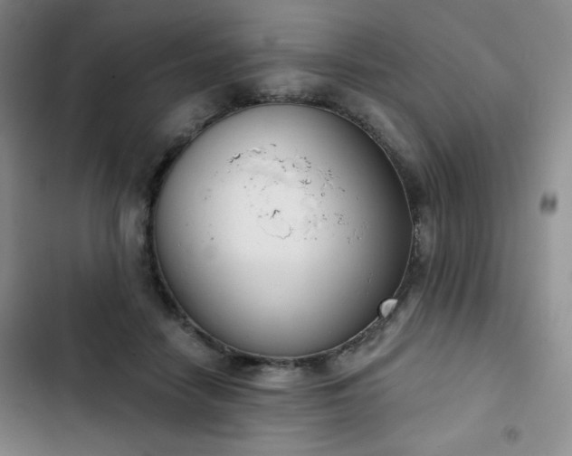 X0000102850458200808251206