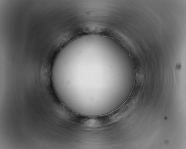 X0000102850460200808251206