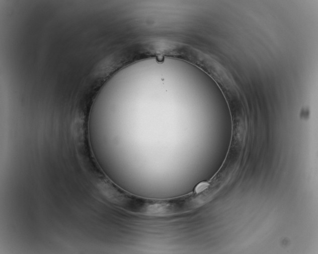 X0000102850461200808251206