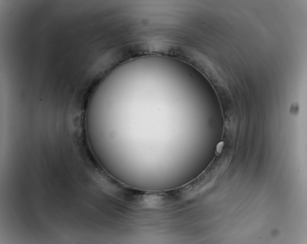 X0000102850462200808251206