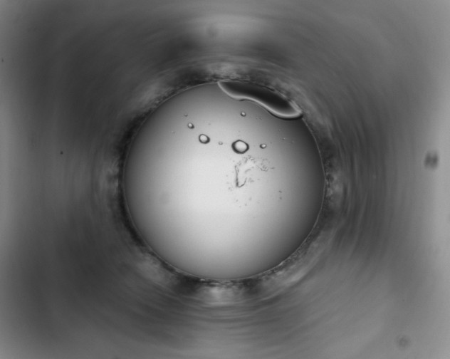 X0000102850466200808251207