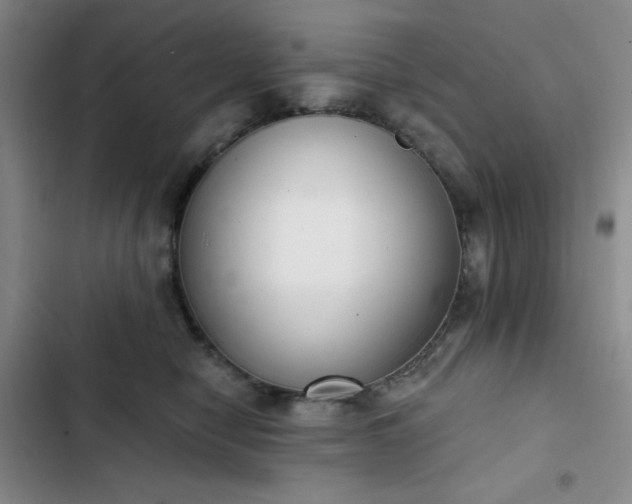 X0000102850470200808251207