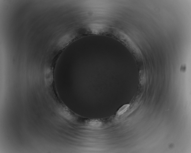 X0000102850471200808251207