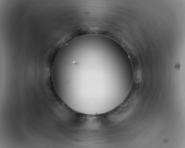 X0000102850472200808251207