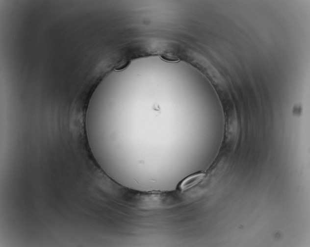 X0000102850473200808251207