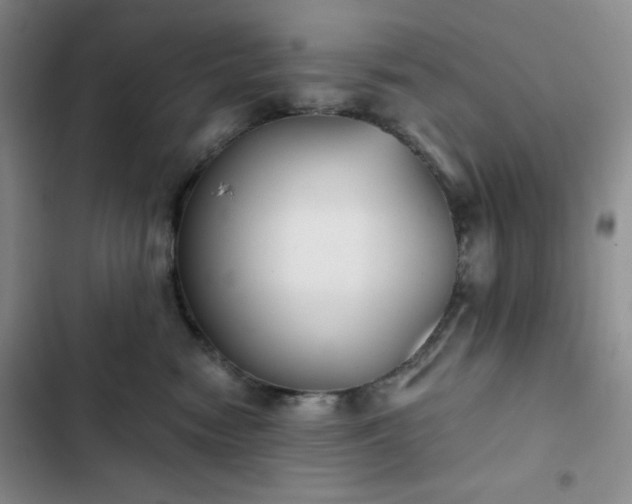 X0000102850474200808251207