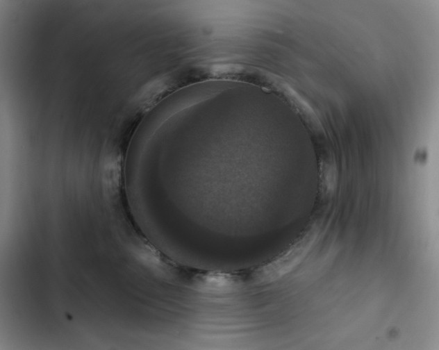 X0000102850475200808251207