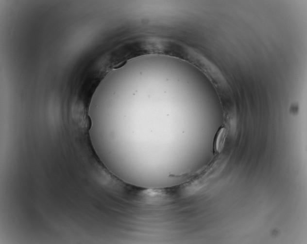 X0000102850477200808251207