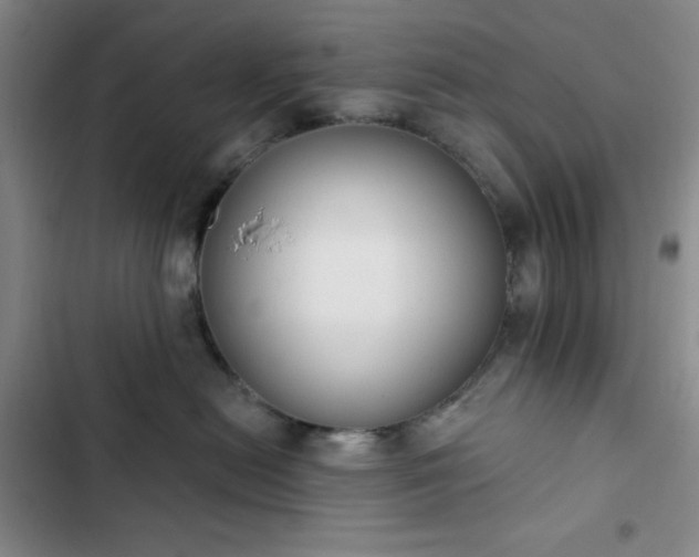 X0000102850478200808251207