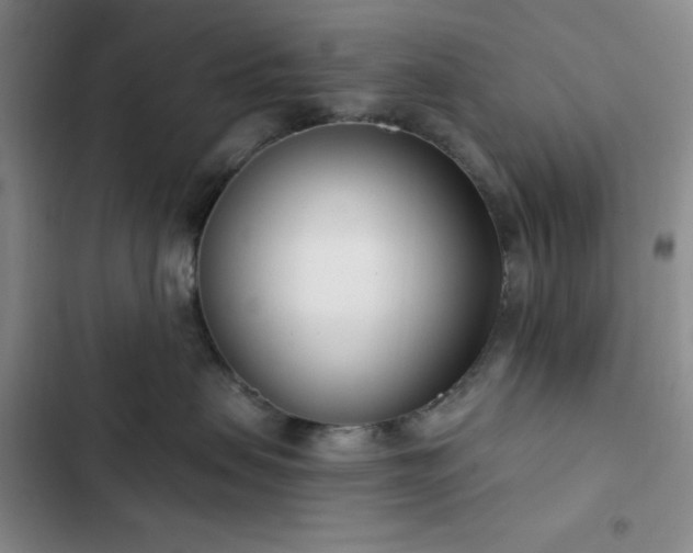 X0000102850479200808251207