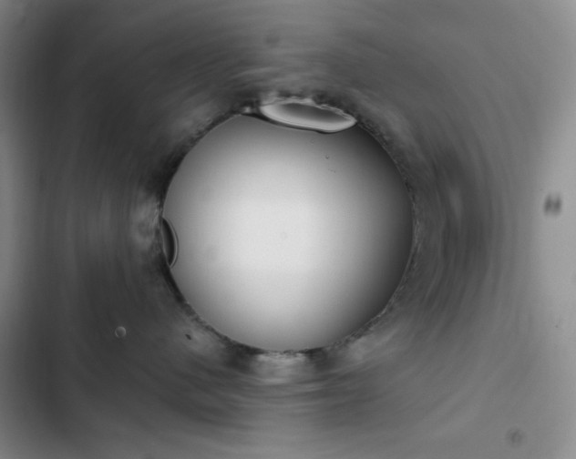 X0000102850480200808251207