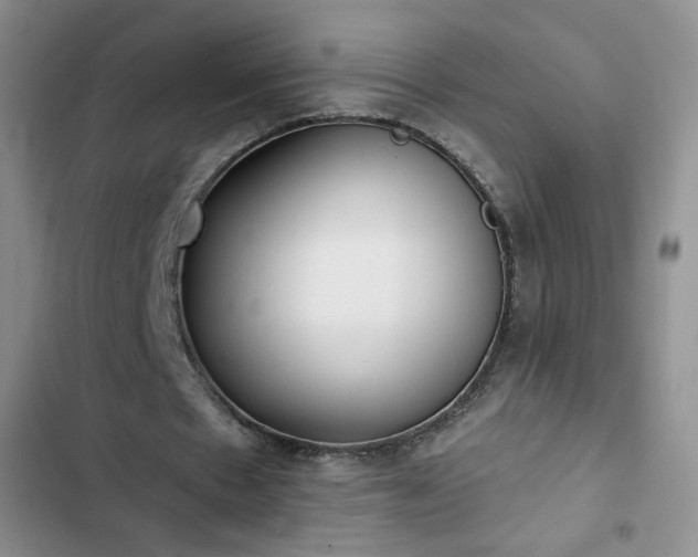 X0000102850481200808251206