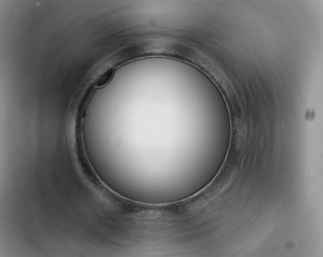 X0000102850482200808251206