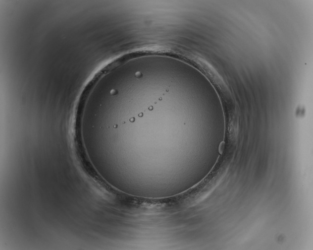 X0000102850484200808251206