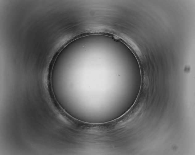 X0000102850485200808251206