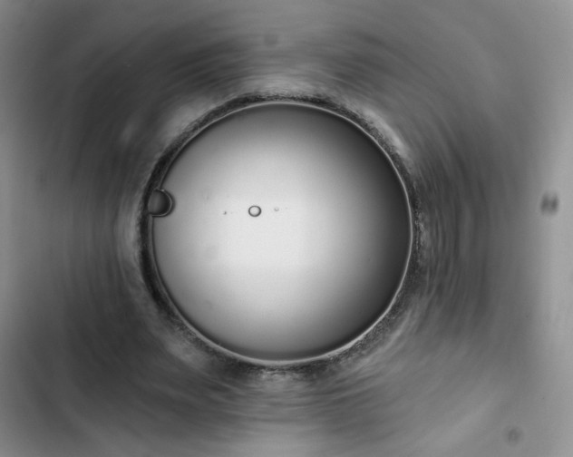 X0000102850487200808251206