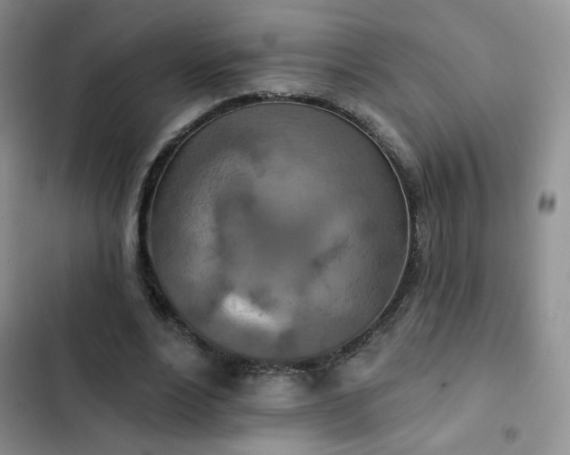 X0000102850488200808251206