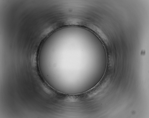 X0000102850489200808251206