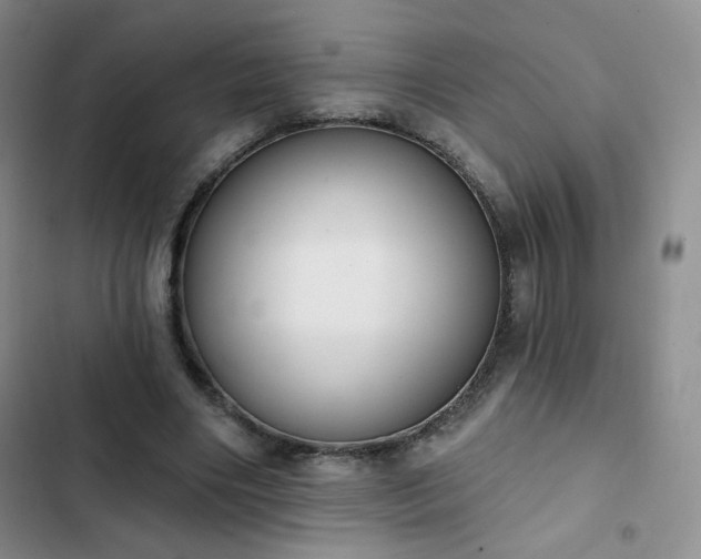 X0000102850490200808251206