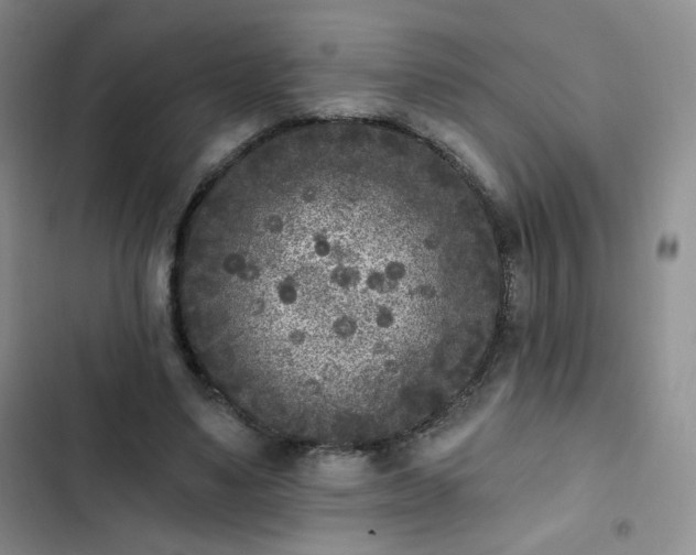 X0000102850491200808251206