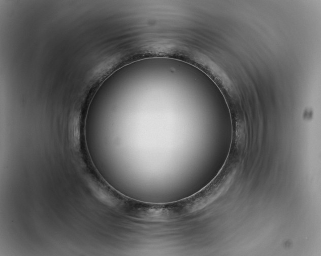 X0000102850493200808251206