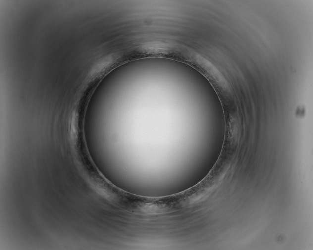 X0000102850494200808251206