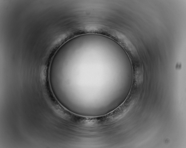X0000102850495200808251206
