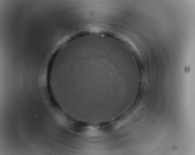 X0000102850496200808251206