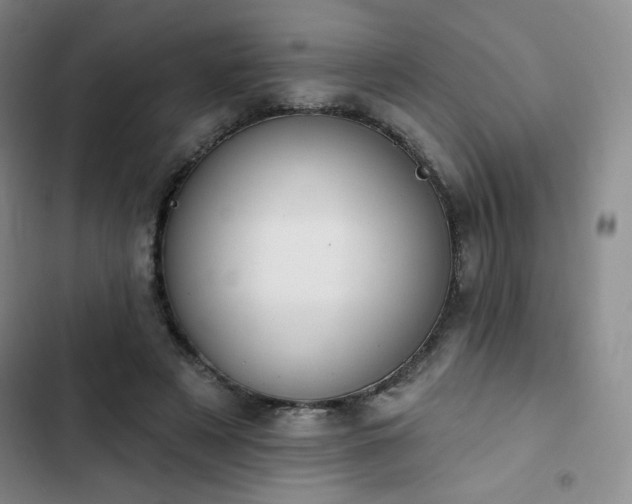 X0000102850497200808251206