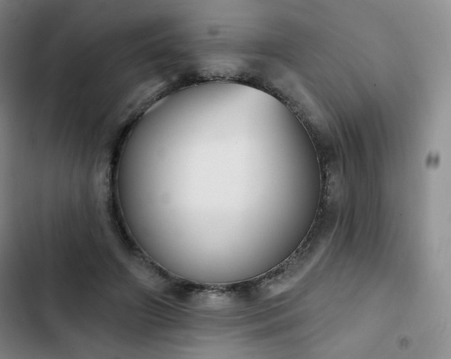 X0000102850498200808251206