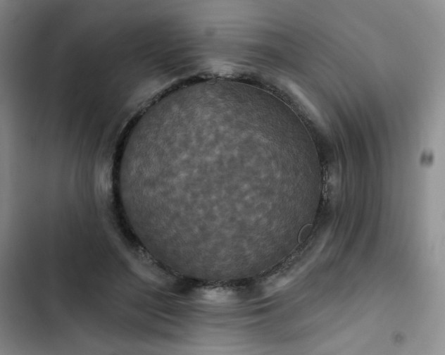 X0000102850500200808251206