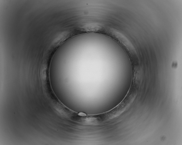 X0000102850501200808251206