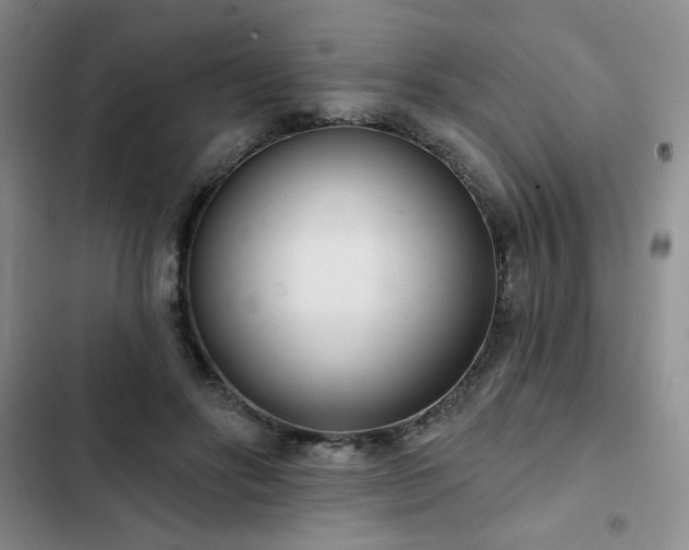 X0000102850502200808251206