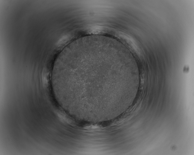 X0000102850503200808251206